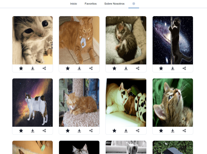 my-cat-page-proyect